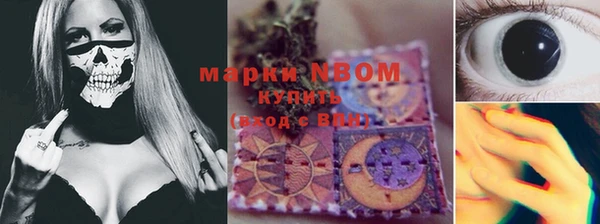 крисы Алексин