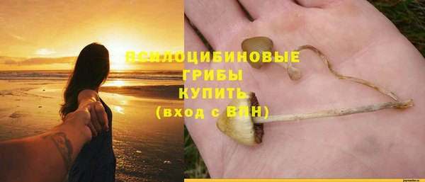 индика Алзамай
