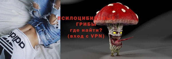 дурь Алексеевка