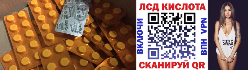 omg зеркало  Новозыбков  Лсд 25 экстази ecstasy 