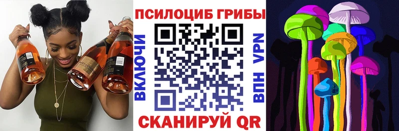 KRAKEN   Новозыбков  Псилоцибиновые грибы GOLDEN TEACHER 